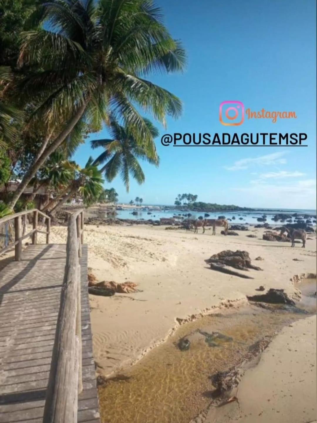 Pousada Gute Morro Morro de São Paulo Dış mekan fotoğraf
